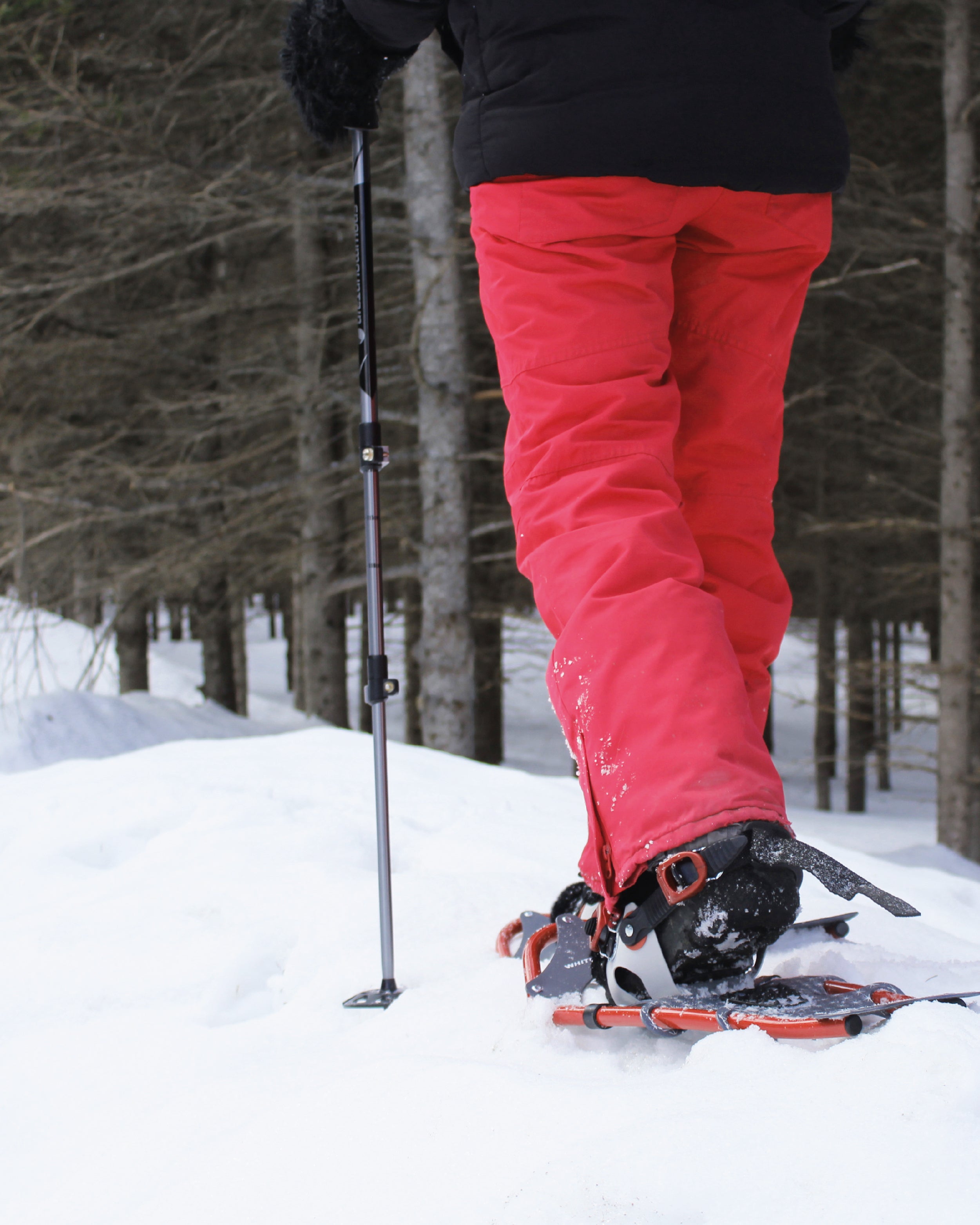 Mountain Expert Faber Mountain Pro Snowshoes Faber Snowshoes Best